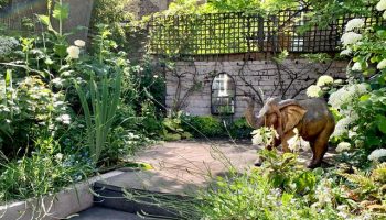 Chalk-Farm-Garden-one-of-the-winning-gardens.jpg